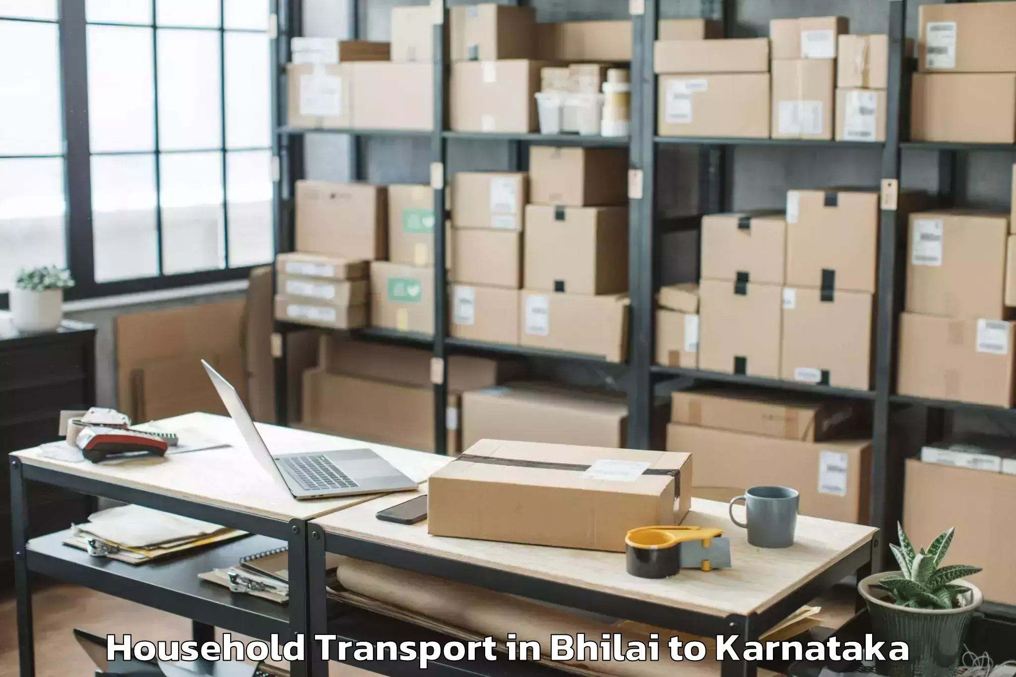 Hassle-Free Bhilai to Tirthahalli Household Transport